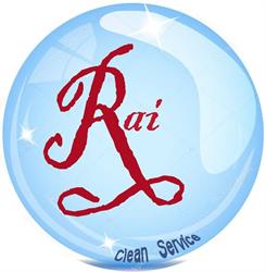 RAI Clean Service, Arad