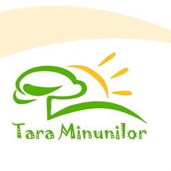 Ţara Minunilor, Cluj-Napoca