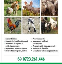 Cabinet Veterinar Berca