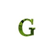 Gazonul verde, Chitila