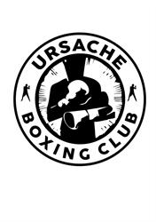 Ursache Box Club Brasov