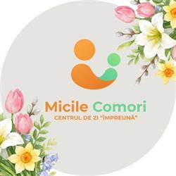 Asociaţia Micile Comori, Timişoara