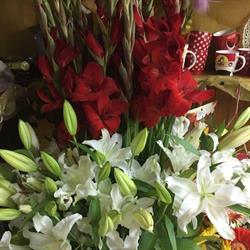 Orchidea Virág- és Ajándéküzlet, Zetea
