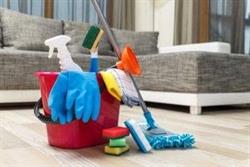 DOINA CLEANER S.R.L., Dancu