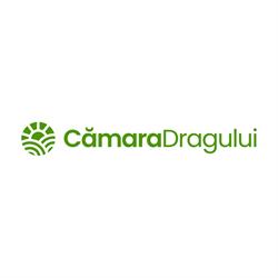 Cămara Dragului, Valea Dragului