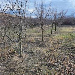 AREX Imobiliare, Alba Iulia