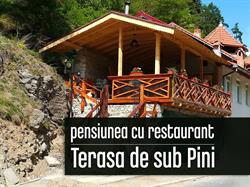 Pensiunea Pantilimon si Restaurant, Răşinari