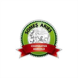 Somes Aries, Apahida