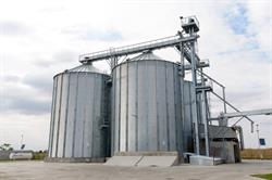 Agro BioGrains, Pecica