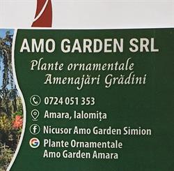 Plante Ornamentale Amo Garden Amara Ialomita, Perieţi