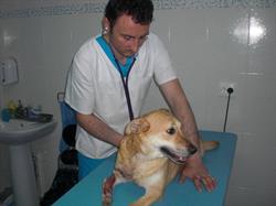 FuniVet, Giurgiu