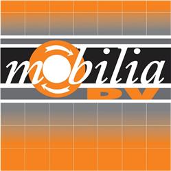 MOBILIA DV SRL, Baia Mare