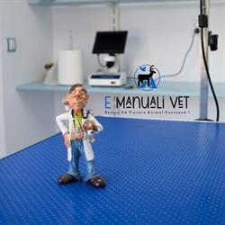 Emanuali Vet Cabinet Medical Veterinar & Farmacie Veterinara, Odoreu