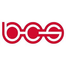 BCS Automotive Interface Solutions Romania, Remetea Mare