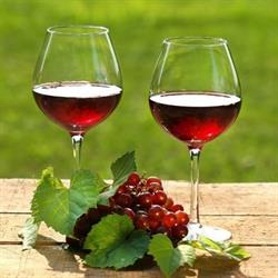 Vin-Alcool Tulcea
