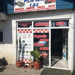Piciu Auto, Vaslui