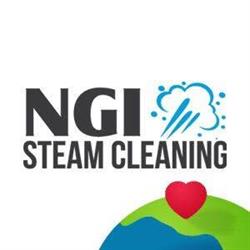 NGI Steam Cleaning, Domneşti