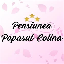 Pensiunea Popasul Colina, Sărata