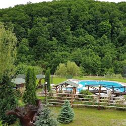 Complex la Dany, Feldru