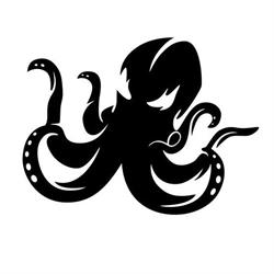 Squid Solutions SRL, Oradea