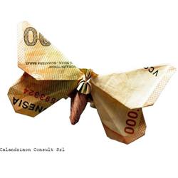 Calandrinon Consult, Oradea