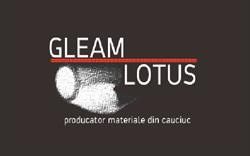 GLEAM LOTUS SRL, Petricani