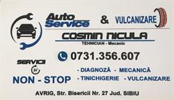 AutoService Nicula, Avrig