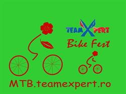 TeamXpert, Bucureşti