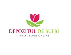 Depozitul de Bulbi, Slănic