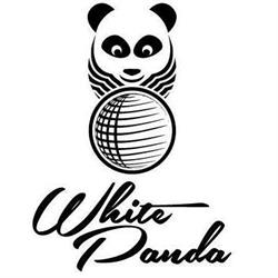 White Panda, Timişoara
