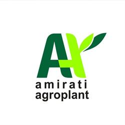 Amirati, Brăila