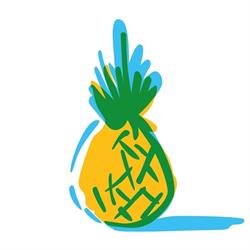 Pineapple Digital, Sibiu