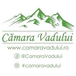 Cămara Vadului, Vadu Crişului