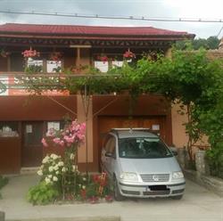 Casa Elena Eselnita