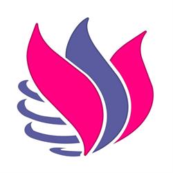 Vixflo Invest, Brăila