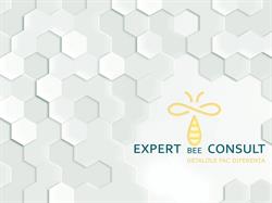 Expert BEE Consult, Iaşi