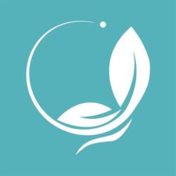 Cabinet Medical Reumatologie Dr. Bacia-Mociran, Baia Mare