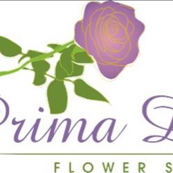 Florarie Constanta - Prima Donna Flower