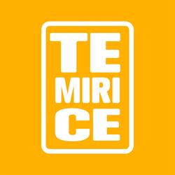TeMiriCe, Timişoara