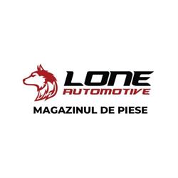 LONE AUTOMOTIVE SRL, Bistriţa