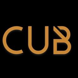 CUB Imobiliare, Timişoara