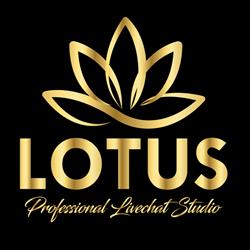 Lotus Agency, Bucureşti