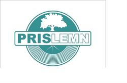 Prislemn, Baia Mare