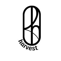 Harvest Specialty Coffee, Craiova