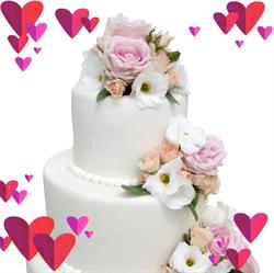 Royal Cake, Satu Mare