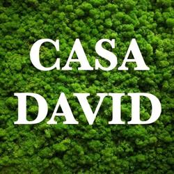 Casa David, Slatina