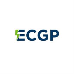 ELECTROCONS GROUP PROIECT INTL, Pantelimon