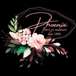 Florăria Phoenix, Botoşani