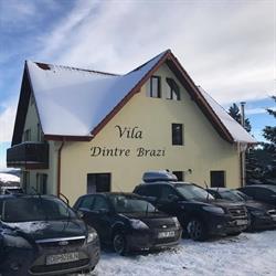 Vila dintre brazi, Păltiniş
