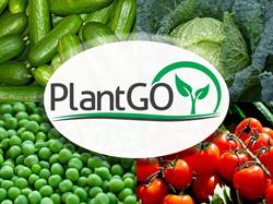 PlantGO, Galşa
